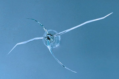 Складні за структурою тріщини Complex in structure cracks